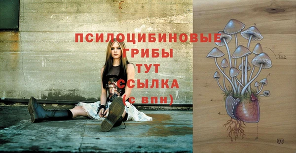 PSILOCYBIN Алексин