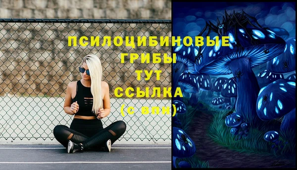 PSILOCYBIN Алексин
