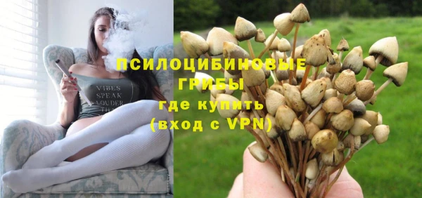 PSILOCYBIN Абаза